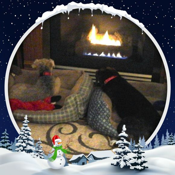 Meet your Posher, Joyce - Picture 1 of 1